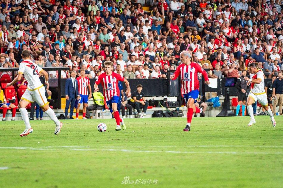 极向上的生 极向上的生